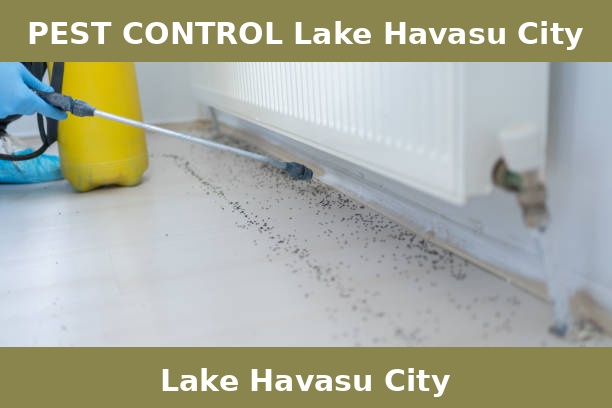 PEST CONTROL Lake Havasu City